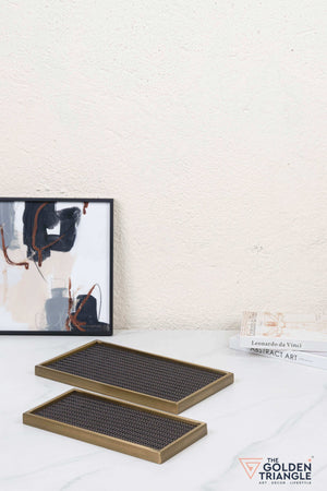 Windsor Metal & Woven Fabric Utility Tray - Gold & Brown