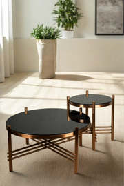 Selena Coffee Table - Set of 2