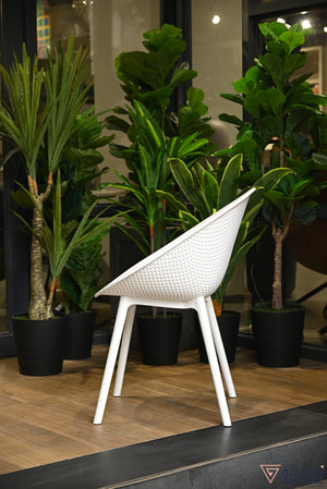 Novus Outdoor Chair - White