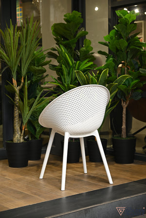 Novus Outdoor Chair - White