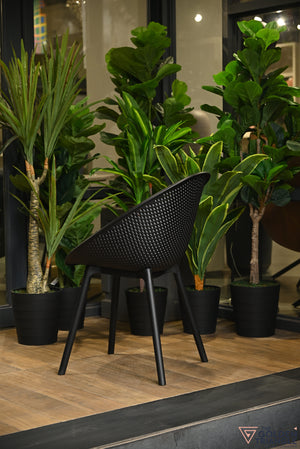 Novus Outdoor Chair - Black