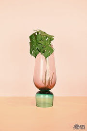 Ruby Two Way Glass Vase