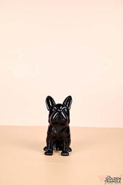 Ceramic Bulldog Piggybank Artefact