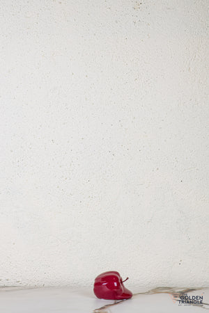 Ossi Apple Table Top Decor - Red