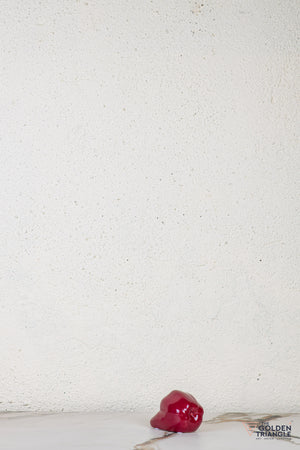 Ossi Apple Table Top Decor - Red