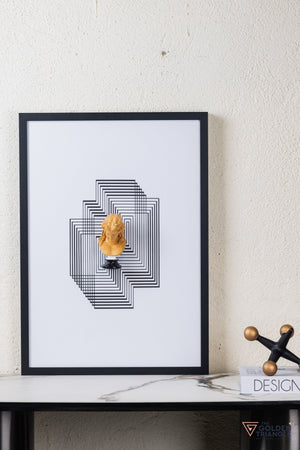 Roman 3D Wall Art Frame - F