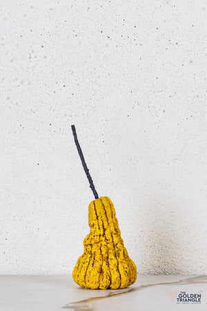 Prune Fruit Tabletop Decor - Yellow
