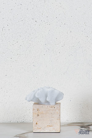 Yuki Coral Travertine TableTop Decor - White