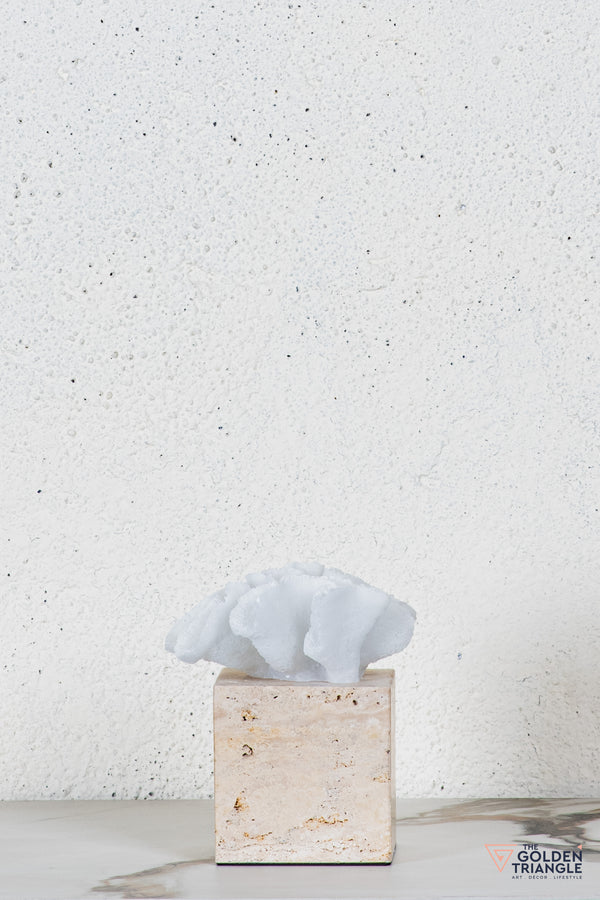 Yuki Coral Travertine TableTop Decor - White