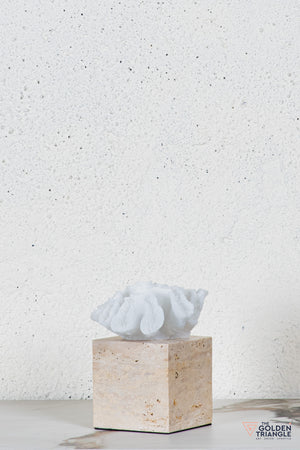 Yuki Coral Travertine TableTop Decor - White