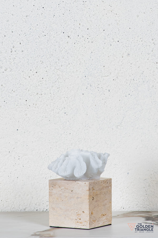 Yuki Coral Travertine TableTop Decor - White