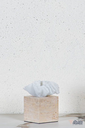 Yuki Coral Travertine TableTop Decor - White