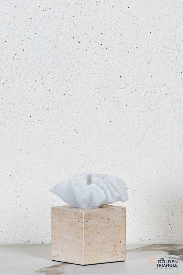 Yuki Coral Travertine TableTop Decor - White