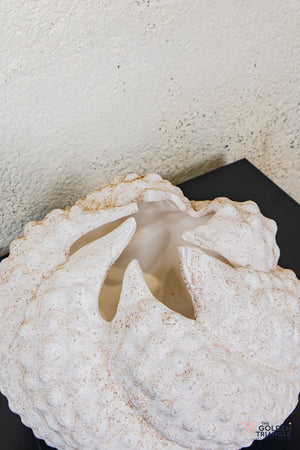 Orlena Ceramic Vase