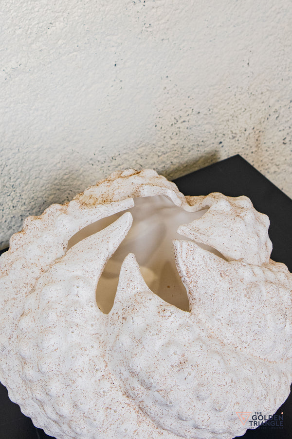 Orlena Ceramic Vase