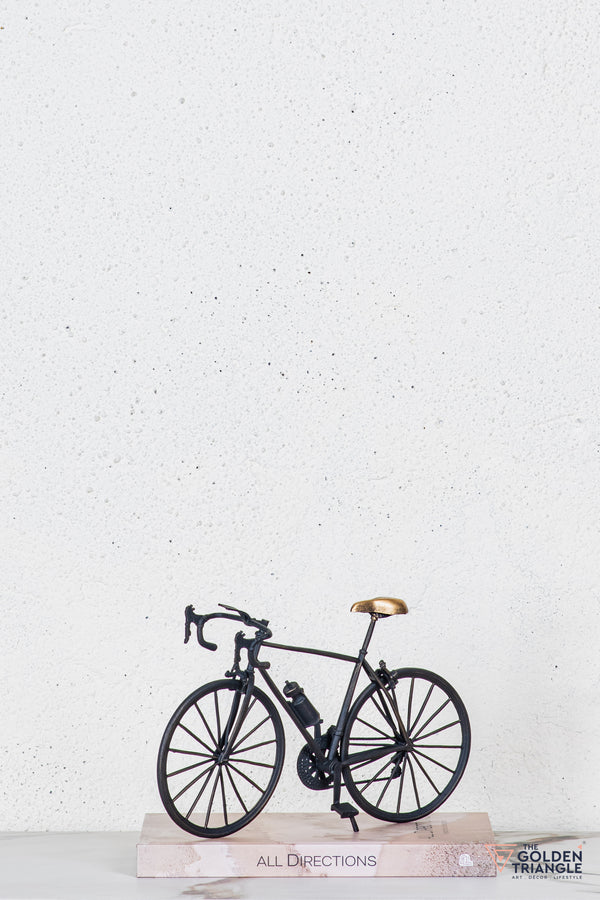 Lume Bicycle TableTop Decor