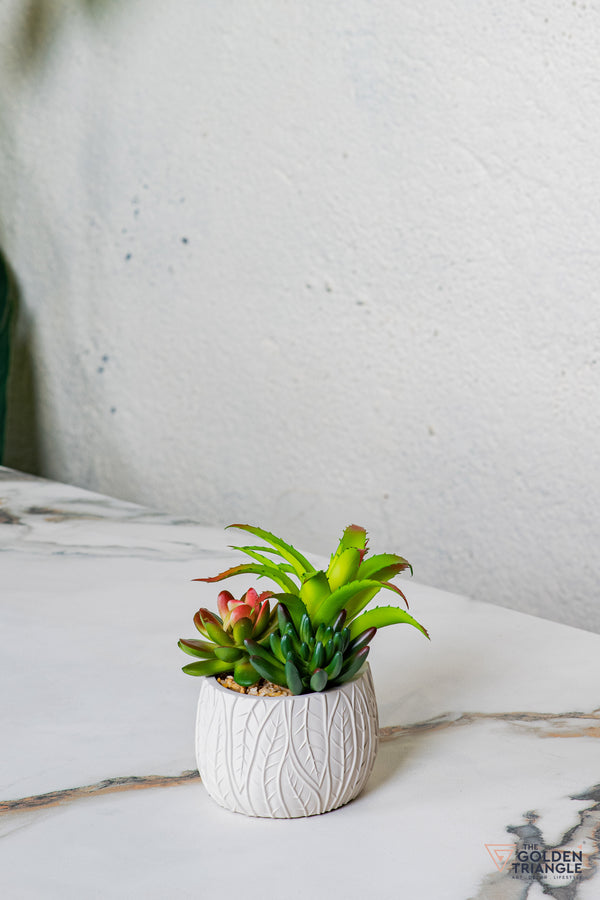 Luxora Bathroom Set - Set of 4