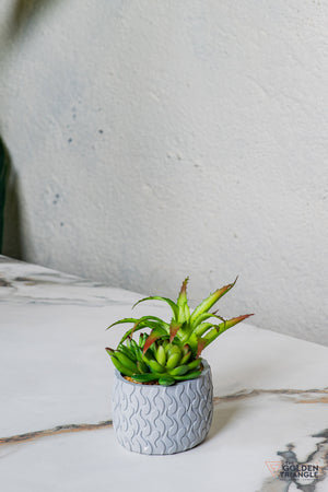 Luxe Bathroom Set - Set of 4