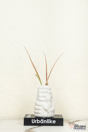 Unity Hand Ceramic Vase