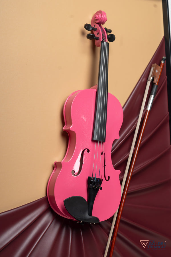Blues 3D Violin Wall Art Frame - Pink
